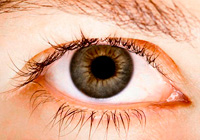 Народные средства лечения глаз