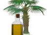 польза и свойства пальмового масла