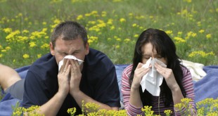 Allergija-pervyj-shag-k-bronhialnoj-astme-001
